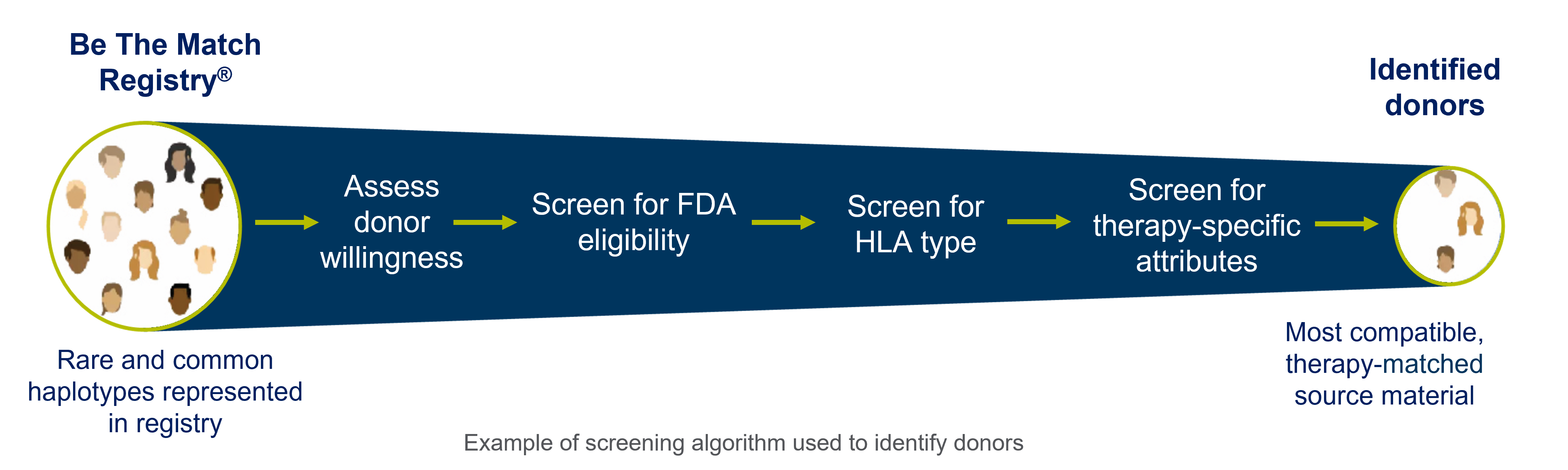 Example of screening algorithm used to identify donors