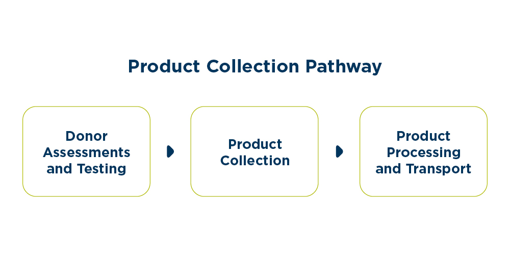 The product collection pathway includes donor assessments and testing, product collection, and product processing and transport.